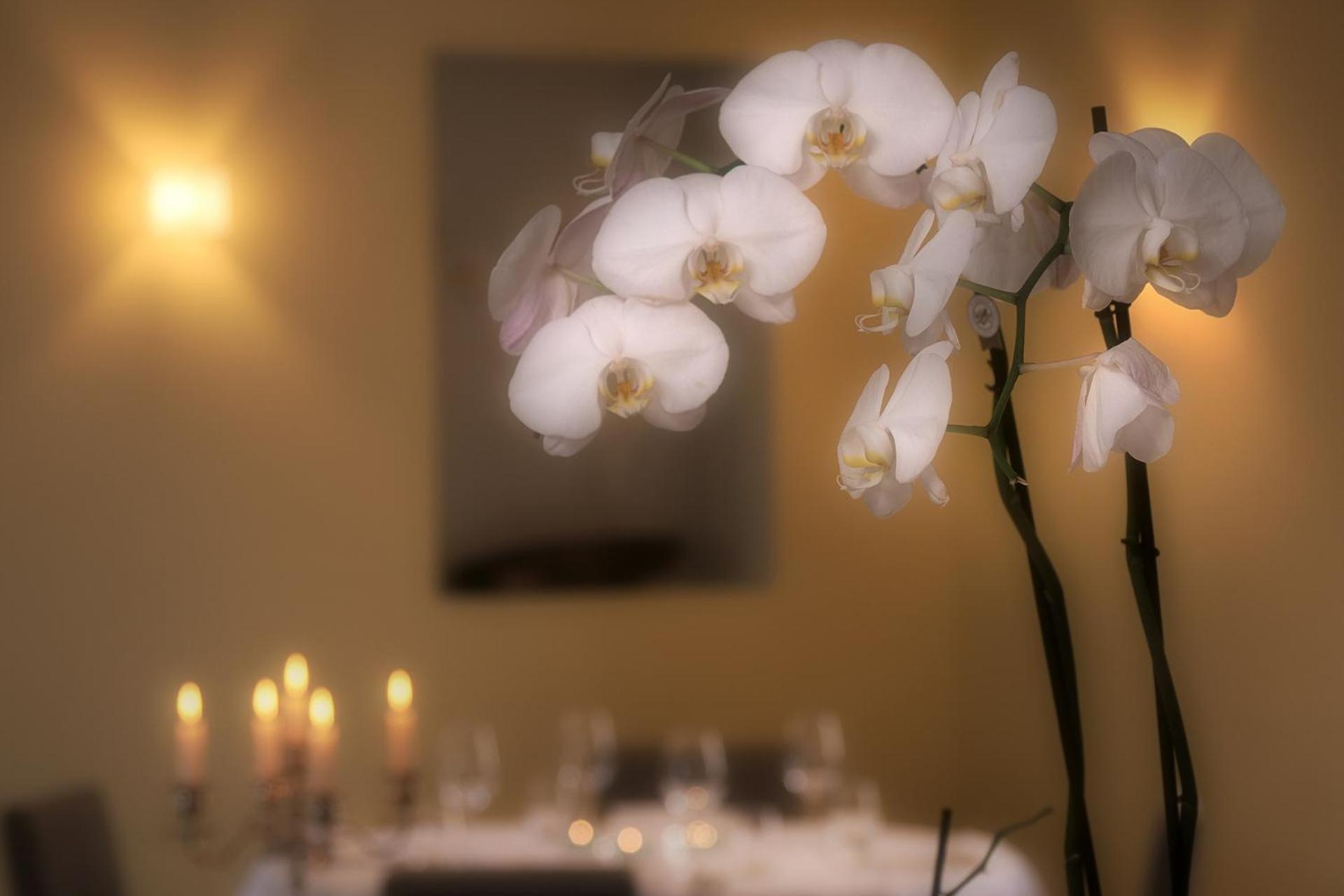 Ristorante Charme Hotel Tre Terre Ponte Brolla Buitenkant foto